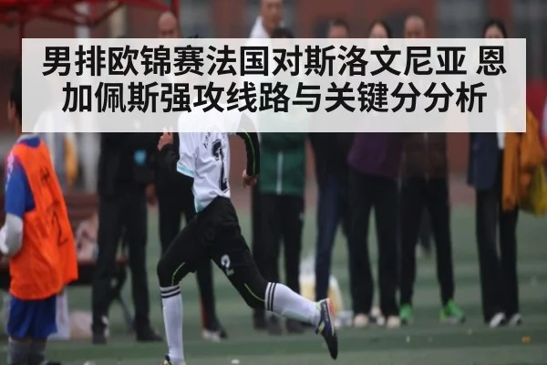 男排欧锦赛法国对斯洛文尼亚 恩加佩斯强攻线路与关键分分析