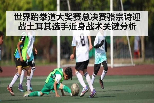 世界跆拳道大奖赛总决赛骆宗诗迎战土耳其选手近身战术关键分析